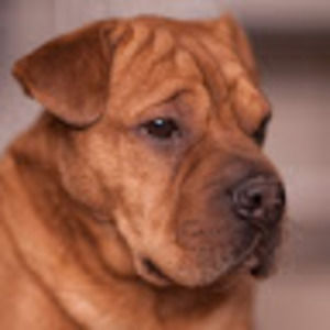 Meet your Posher, Noni